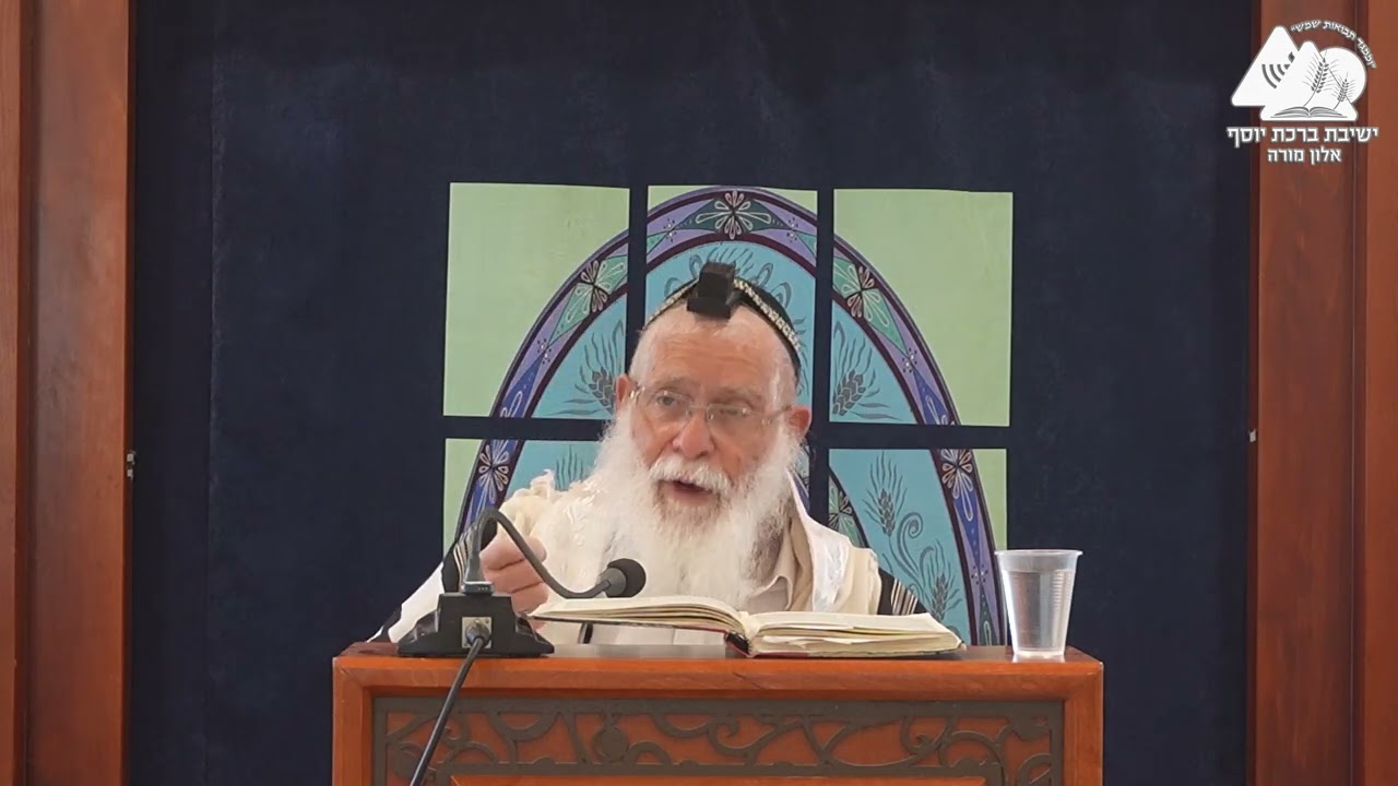 דין צבע התפילין ומה דין רצועות שהתהפכו | הרב אליקים לבנון | הלכות תפילין | 19