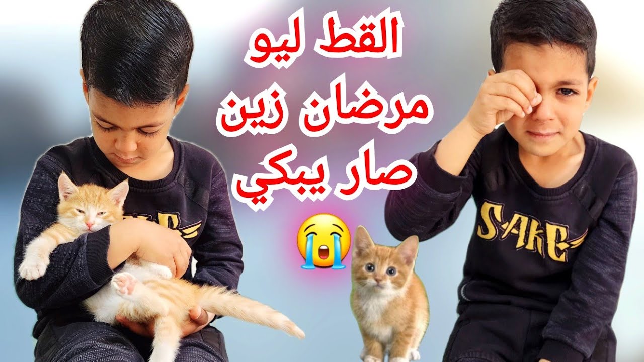زين زعلان لأنو القط ليو مرضان أخدنا ليو زيارة لعند أمو ردة فعلو#زين_وألفت