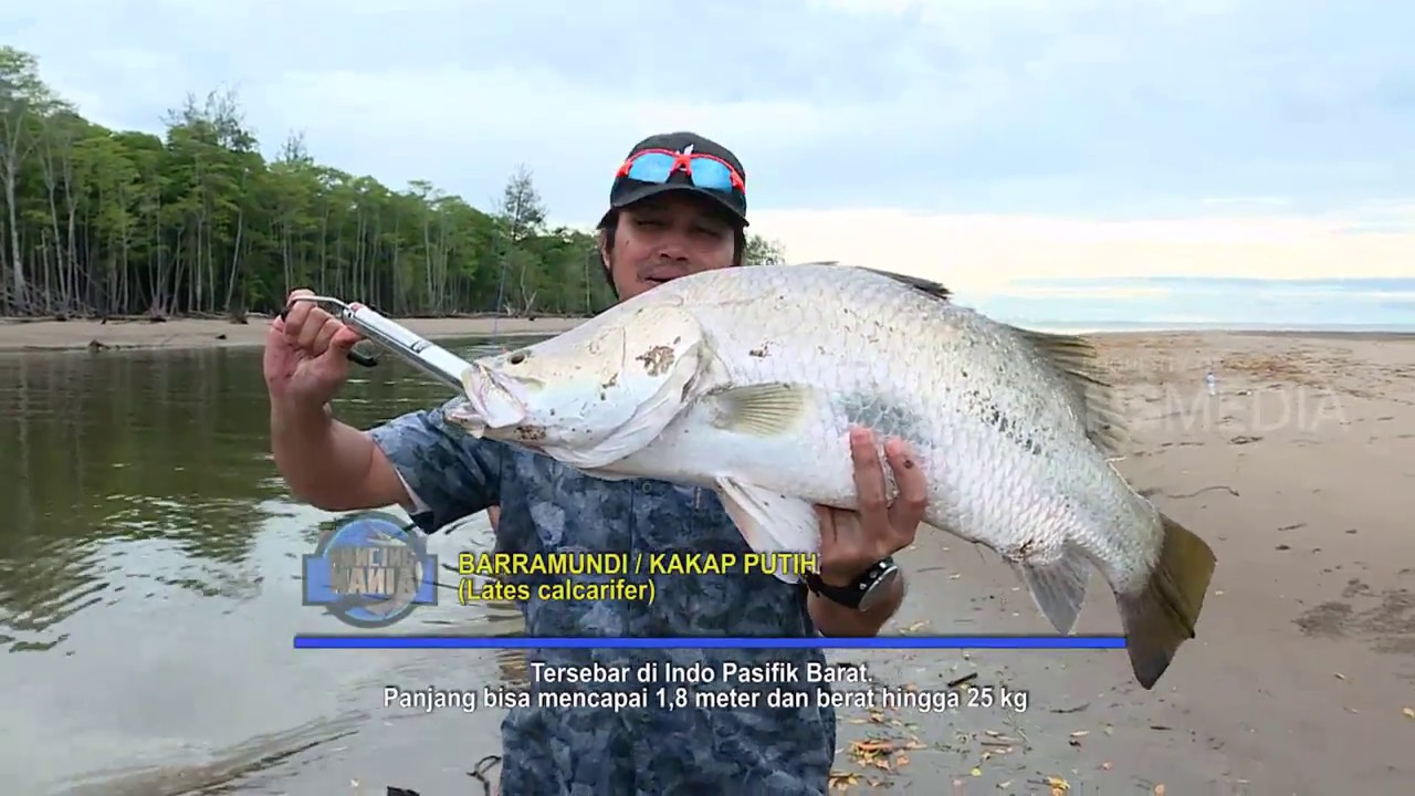 Mancing Mania Long Tail Ruby Pulau Dewata 31 03 18 1 3 Youtube