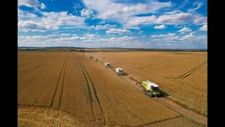 Harvest 2022 🌾 | 6x harversters in one field (5x Claas + 1x John Deere) Statek Miroslav🇨🇿