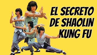 Wu Tang Collection -  El Secreto De Shaolin Kung Fu (Secret Shaolin Kung Fu)