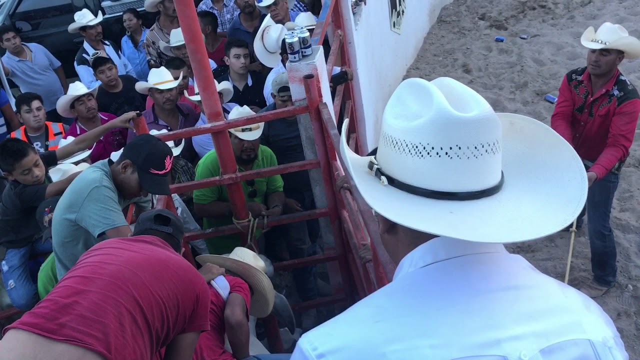 Palmillas Tamaulipas