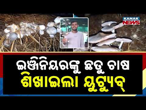 Bazaar Halchaal: ଇଞ୍ଜିନିୟରିଂ ପଢ଼ା ସହ ଛତୁ ଚାଷ କରି ସ୍ୱାବଲମ୍ବୀ | Odisha Engineer Turns Mushroom Farmer