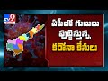 40% in Vijayawada Urban Area infected with coronavirus: Sero surveillance result