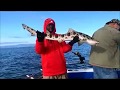 Sport fishing adventures from duntell tv