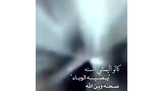 حالات واتس اب مشاية الامام الحسين الرادود قحطان البديري