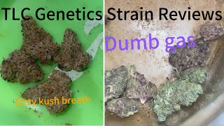 The TLC Genetic Show: Dumb Gas x Dirty Kush Breath (Strain Review)