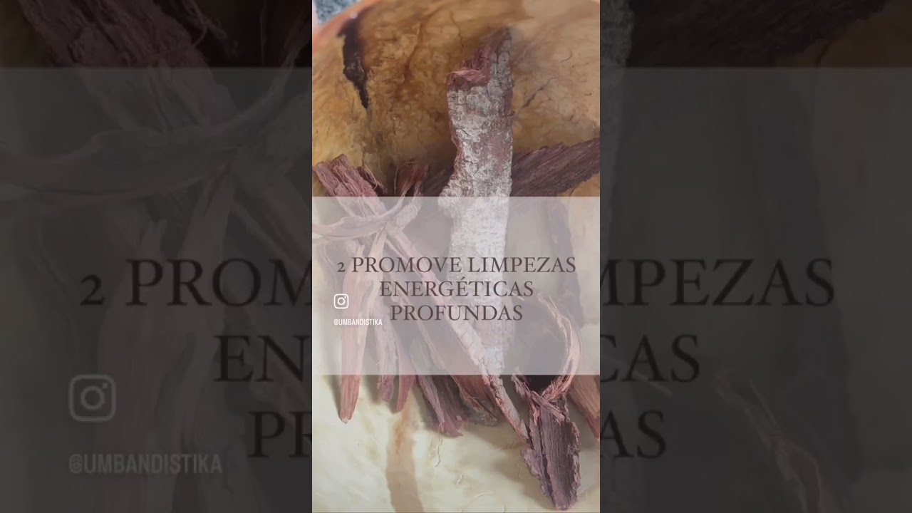 Banho para Mediunidade Jurema Preta 