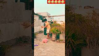 Duniya Ke Sabse Khatarnaak Funny Video Sukhasankastar