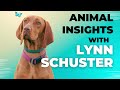 Animal insights with lynn schuster  episode 23