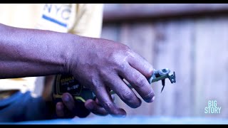 Colombias Choco Andean Forest. Balance - Biodiversity In The Americas.