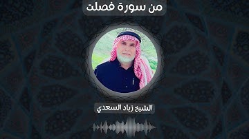 اواخر سورة فصلت - الشيخ زياد السعدي من تراويح رمضان 2022