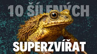 Download Lagu 🤯 10 Nejdivnějších Superschopností v Říši Zvířat – Tohle není Marvel, ale realita! MP3 Download Lagu 🤯 10 Nejdivnějších Superschopností v Říši Zvířat – Tohle není Marvel, ale realita! MP3