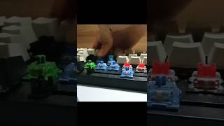 Akko Ocean Blue ASMR Sound Test
