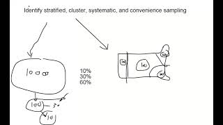Identify stratified, cluster, systematic, and convenience sampling