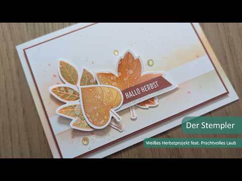 White Fall Project feat. Gorgeous Leaves | Der Stempler ~ Stampin' Up!