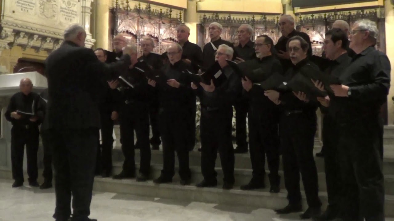 Coro de Cámara Gaztelupe. 