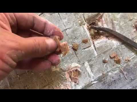 ⁣Allons au fond des choses!