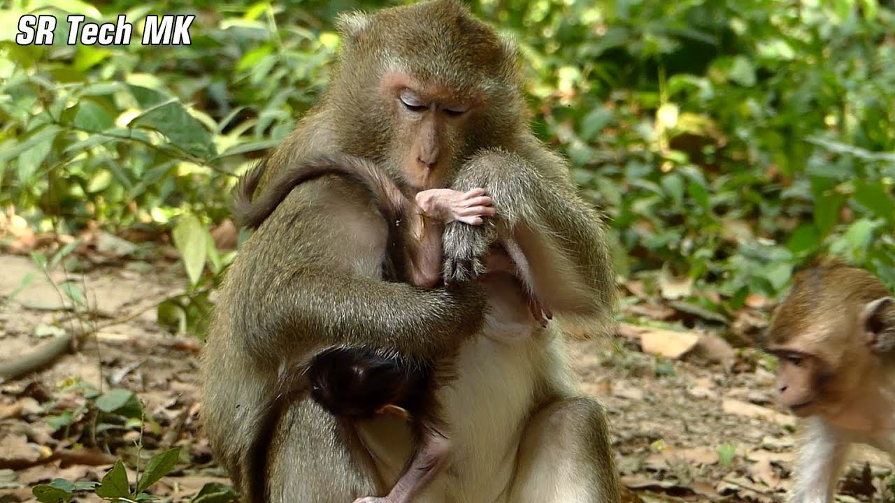 Unchange..! Really male mama Gladis, She wan to clearly again checking her baby Gio