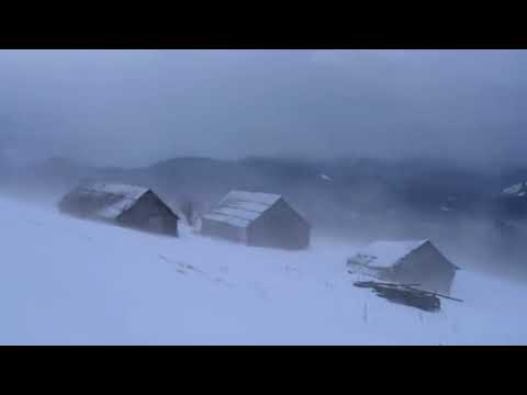 Şiddetli Kış ve Rüzgar Sesi   Kar fırtınası sesi // Severe Winter and Wind Sounds Snowstorm sounds