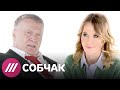 Владимир Жириновcкий в программе Собчак (2012)