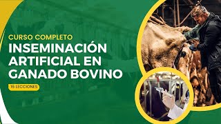Curso de inseminación artificial en ganado bovino | Curso de 16 lecciones
