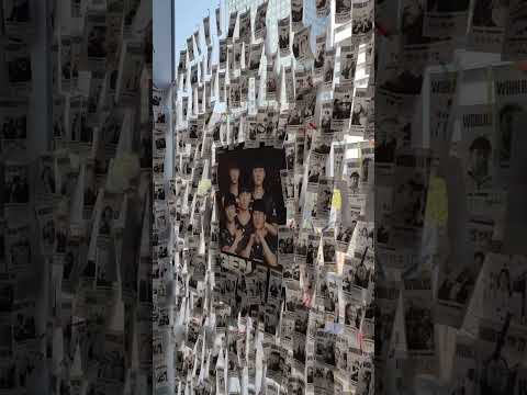 한국관광공사 하이커그라운드 HIKR GROUND Shorts