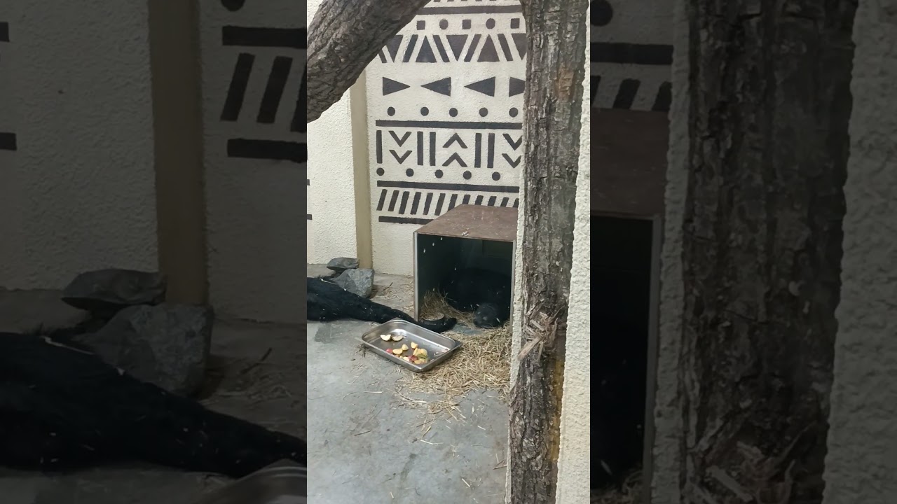 Пермский Зоопарк #56