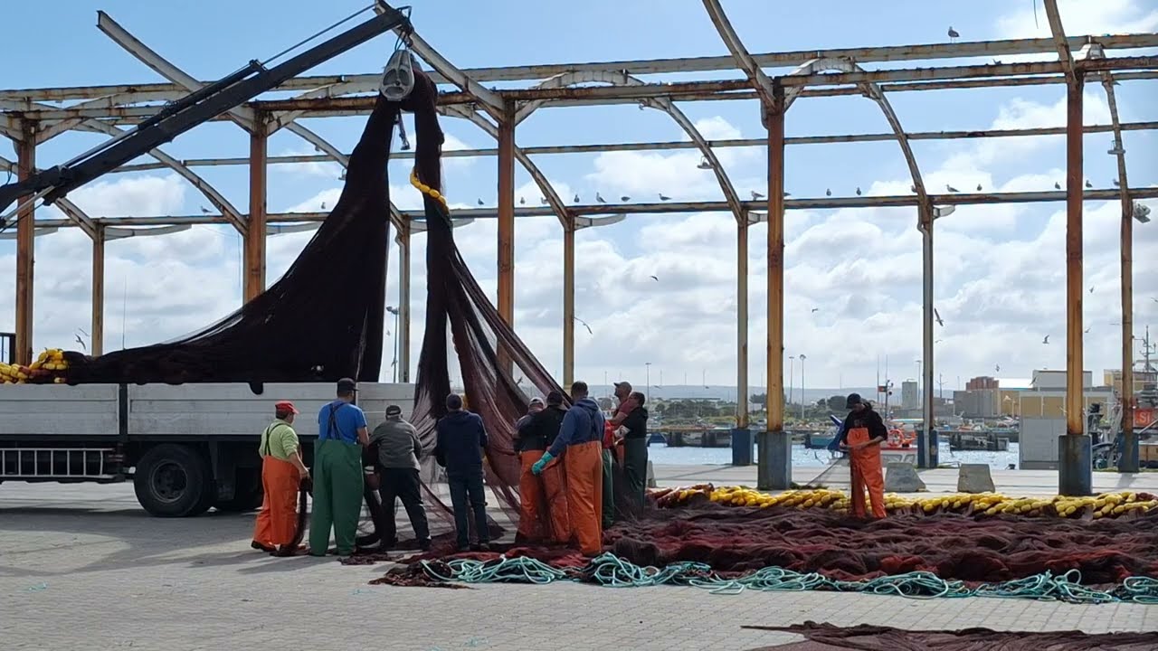 Barcos, Homens e Cais 6