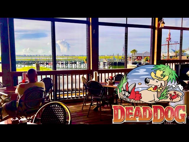 Discover the Enigmatic Dead Dog Saloon Murrells Inlet 3 sddefault