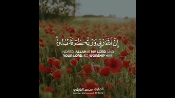 ( وإن الله ربي وربكم فاعبدوه هذا صراط مستقيم ) - #سورة_مريم - #محمد_البارقي