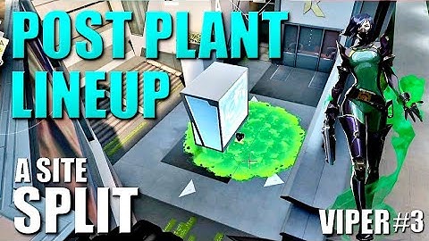 VIPER LINEUPS - SPLIT - Post Plant Snake Bite Setups #3 - A Site - Default