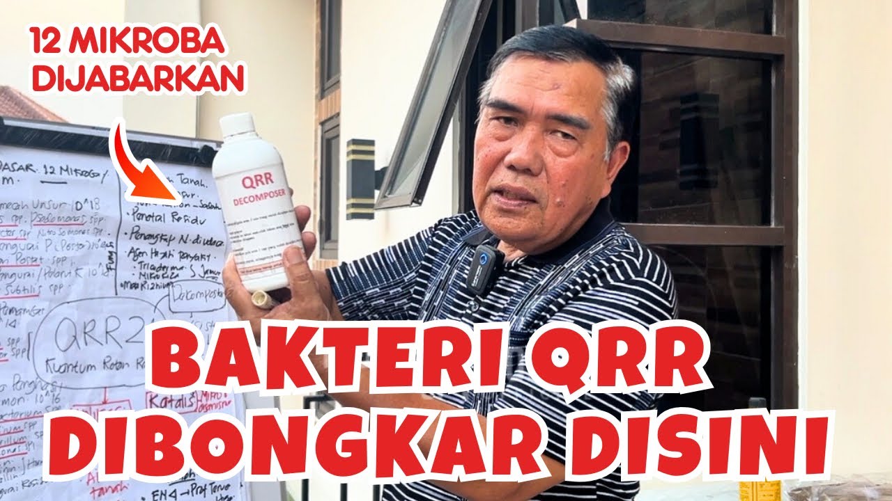 Mengulas Tuntas Kandungan Mikroba yang Ada pada QRR KP2M Nusantara