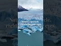 DESIGNER TRIPS ARG
