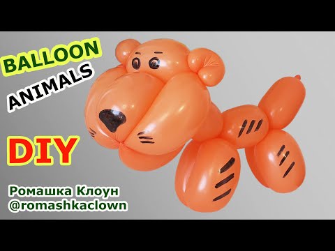 Фигурки из шариков Тигр - Tiger Balloon Animal TUTORIAL