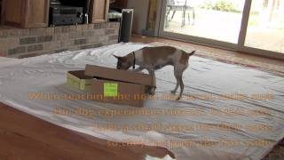 Box Game Demonstration