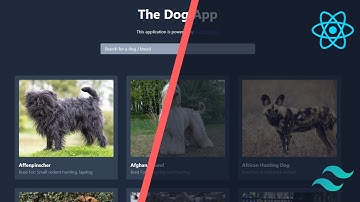 The Dog App - ReactJs and Tailwind CSS