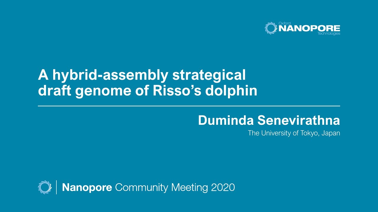A hybrid-assembly strategical draft genome of Risso’s dolphin