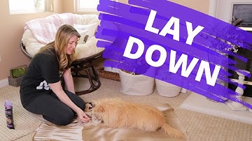 Teach The Down Cue | Beginner Dog Training Series