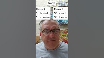 Tariffs explained in 60 seconds, and why they hurt the importing country #pooreconomics #tariffs