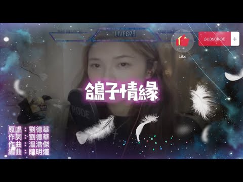 《鴿子情緣》『受傷鴿子 愛在那裡復原 情意將摯誠歲月內磨練』劉德華 翻唱 女版 cover by #小小雪❄️ 直播剪緝 Live Cut 2021.9.11