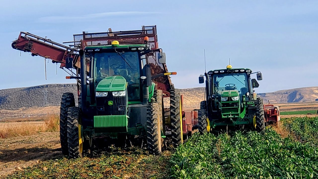 One Field Down, Two to Go! Idaho Sugar Beet Harvest 3 YouTube
