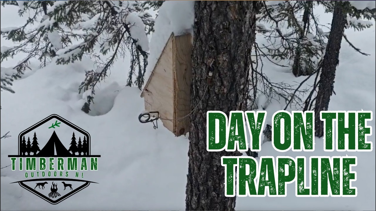A Day on the Trapline | Timberman Outdoors NL