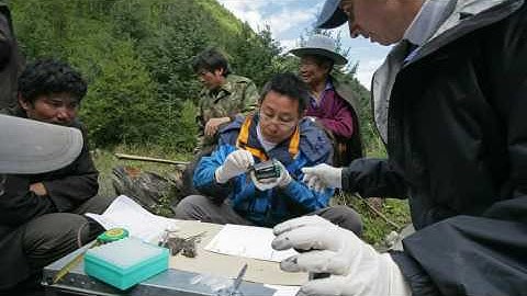 9) Key Biodiversity Areas: Monitoring the Effectiveness of Conservation Actions