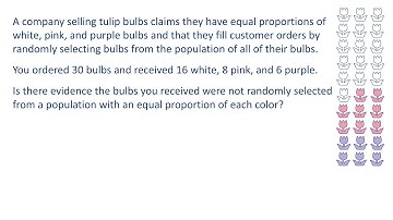 Chi-Sq Goodness-of-Fit, Tulip Example, Minitab Express Summarized Data