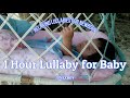 Lullaby for Baby   1 Hour Relaxing Lullaby for Newborn   JUNEXBOY