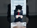 【Sora2】猫がサラリーマン出張したら物理演算が崩壊。高速お辞儀で書類を飛ばし居酒屋で溶ける4段階【AI生成実写コメディ】