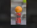 ダジャレ2