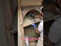 Traditional Custom Profile Board Molding Flawless Plaster Arches #construction #tools #tips #how