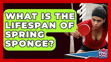 What Is The Lifespan Of Spring Sponge? - Ping Pong Prodigy